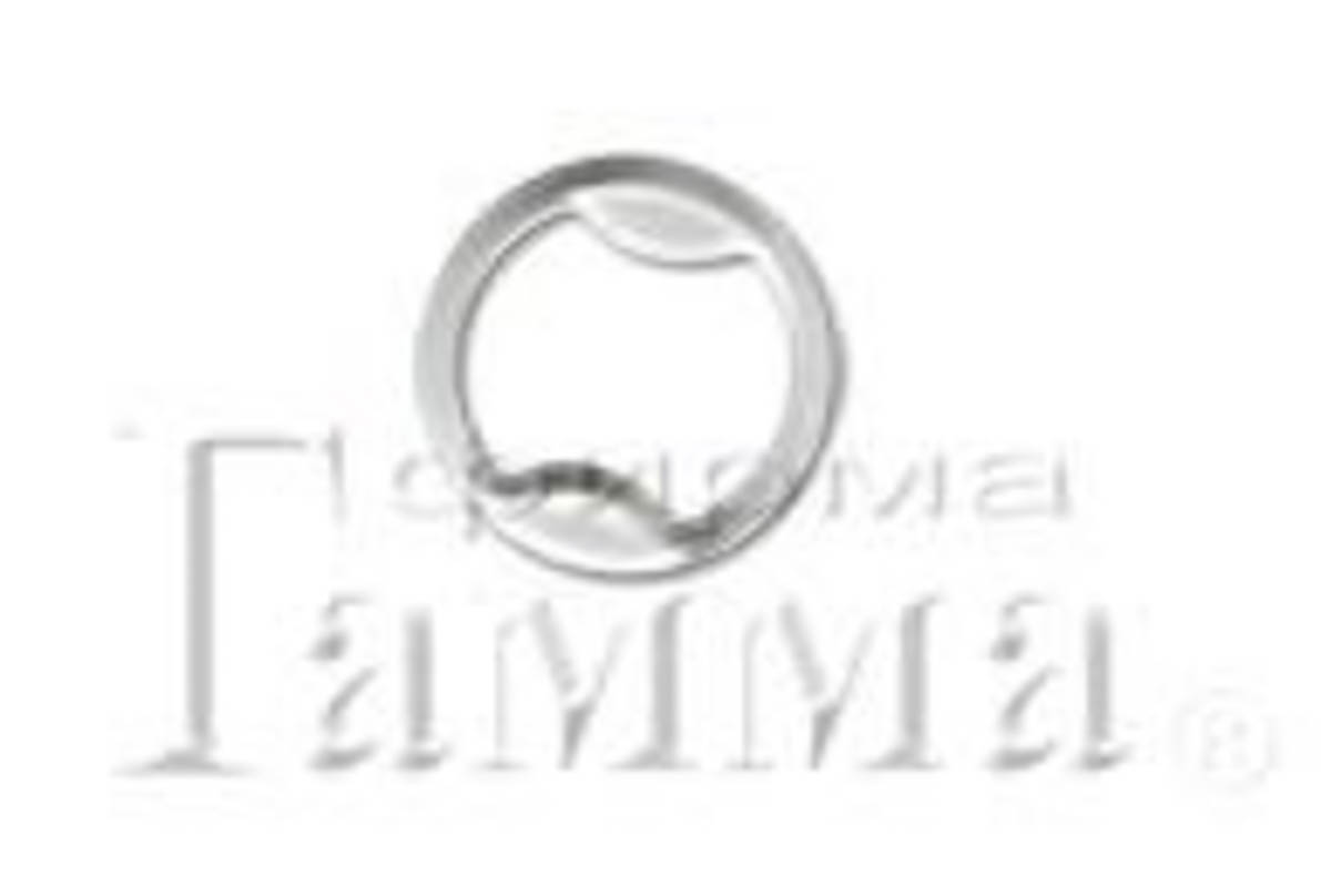 TORIONI CP02-13 кольцо d 13 мм 100 шт