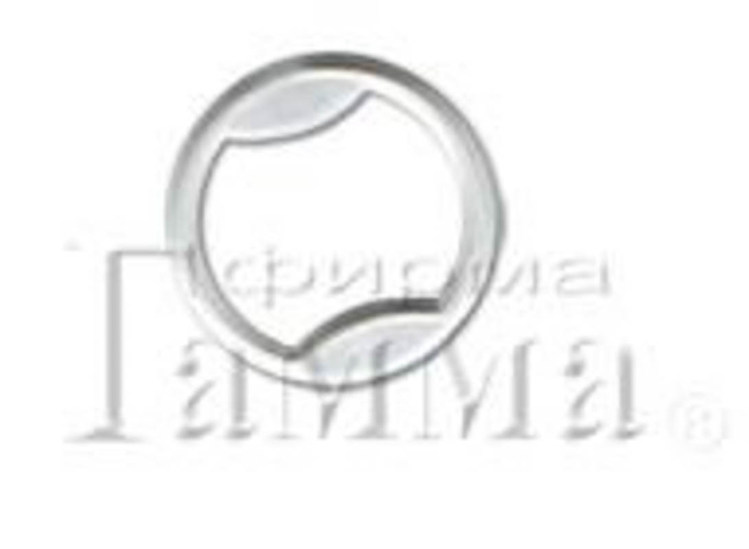 TORIONI CP02-17 кольцо d 17 мм 100 шт
