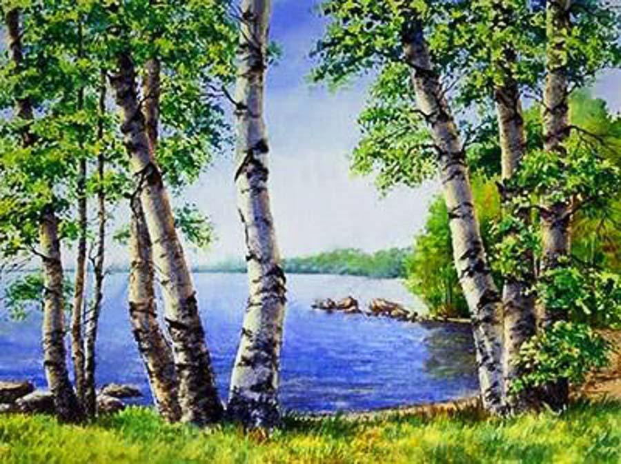 Алмазная живопись АЖ-1340 "Березы у озера"