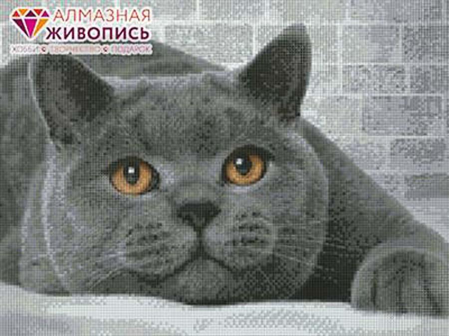 Алмазная живопись АЖ-1463 "Британский кот"