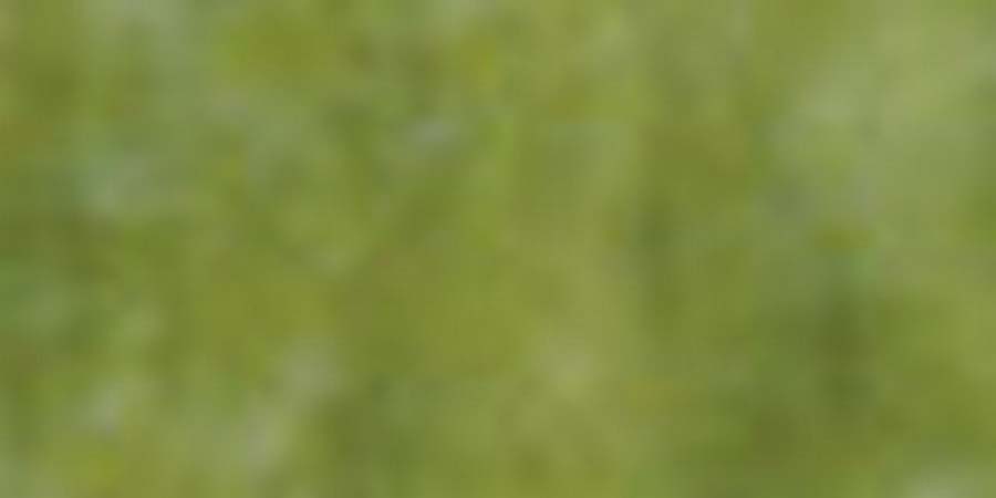 Флористическая лента "Blumentag" CLF шир.12мм, дл. 27,4 м, цв. 62 гр.зеленый