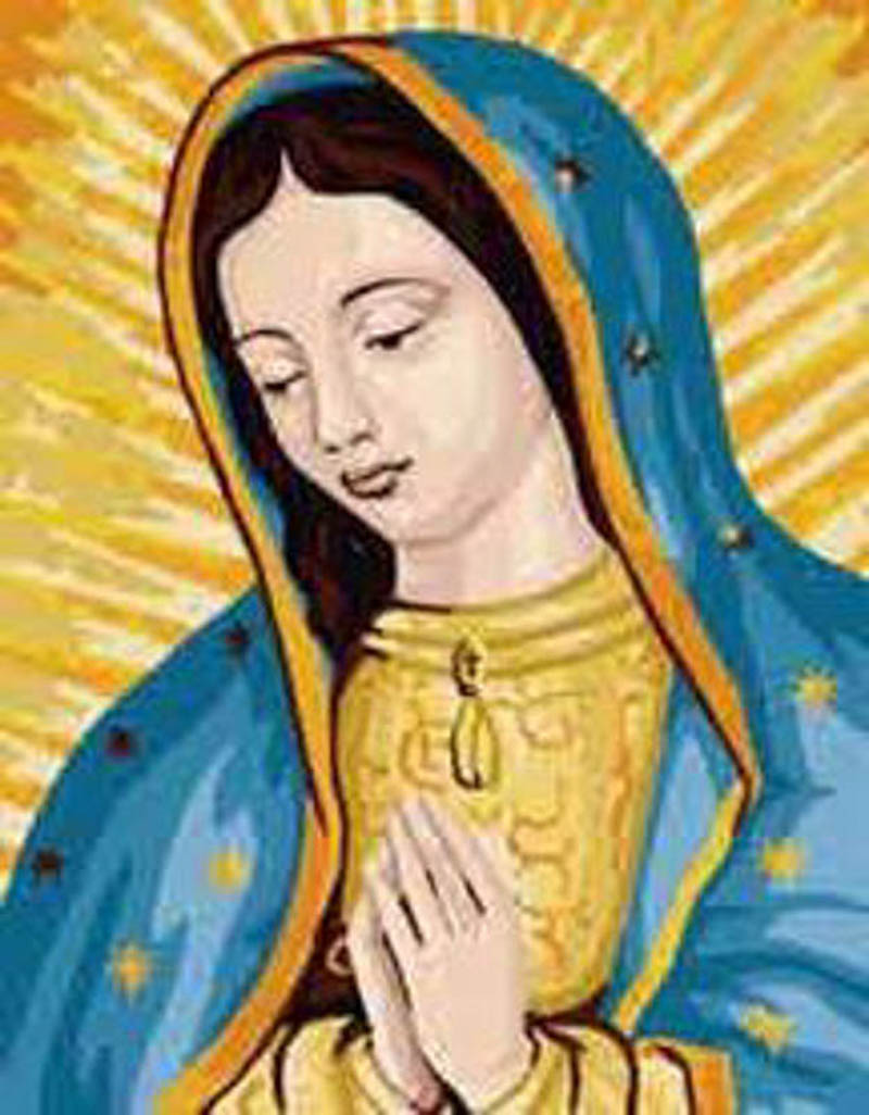 Набор для вышивания Viegre de Guadalupe (Богородица Гваделупская)
