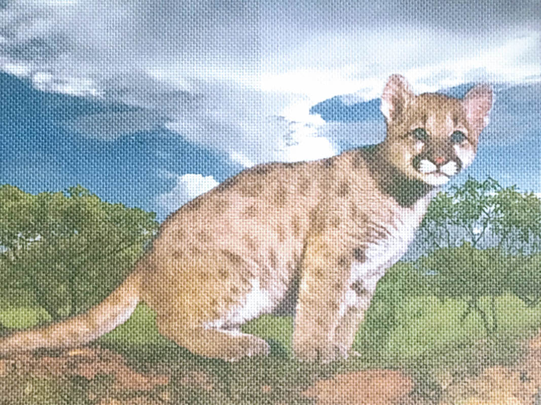 Рисунок на канве (Рус.Ск.)Маленький леопард Ж-31, 33х46 см