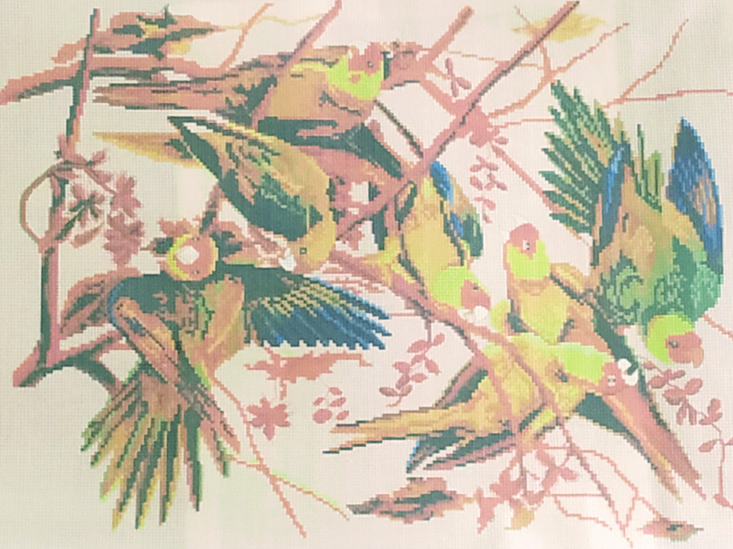 Канва с рисунком для вышивания  ф.А3, Семь попугаев, ММ-3051