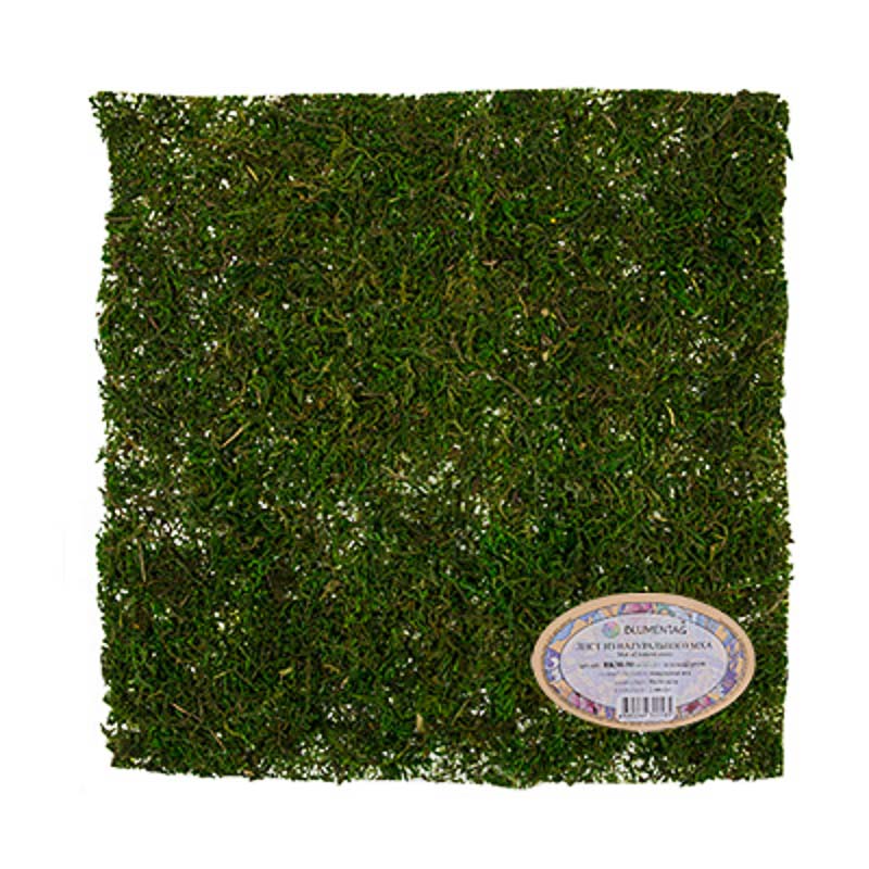 Лист из натурального мха 40 см зеленый "Blumentag" BKM-40