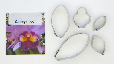 Форма мет. цветка  Орхидеи cattleya, FF 02-0331 А