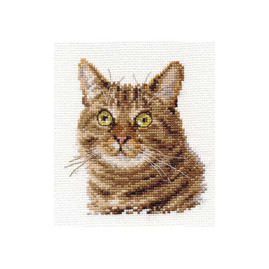 Набор для вышивания Алиса 0-135 "Европейский кот"