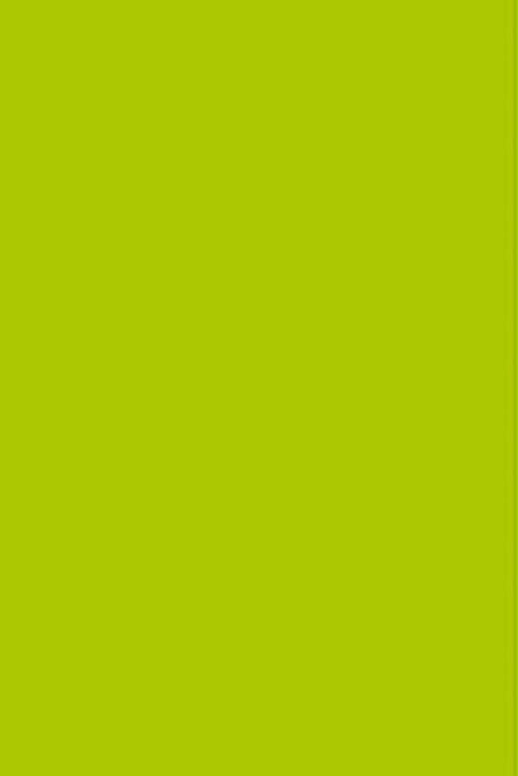 Фоамиран иранский ЭВА арт. 119 (30) лист 60х70см Желто-зеленый