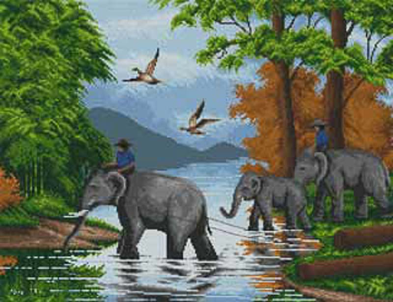 40-Y "Тайские слоны"